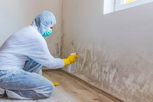 Licensed Bathroom Mold Removal service in Atlantic, VA - WQB Mold Removal